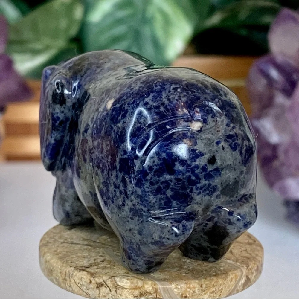 Sodalite Crystal Carved Pig Figurine Blue Stone Animal Carving Chinese Zodiac